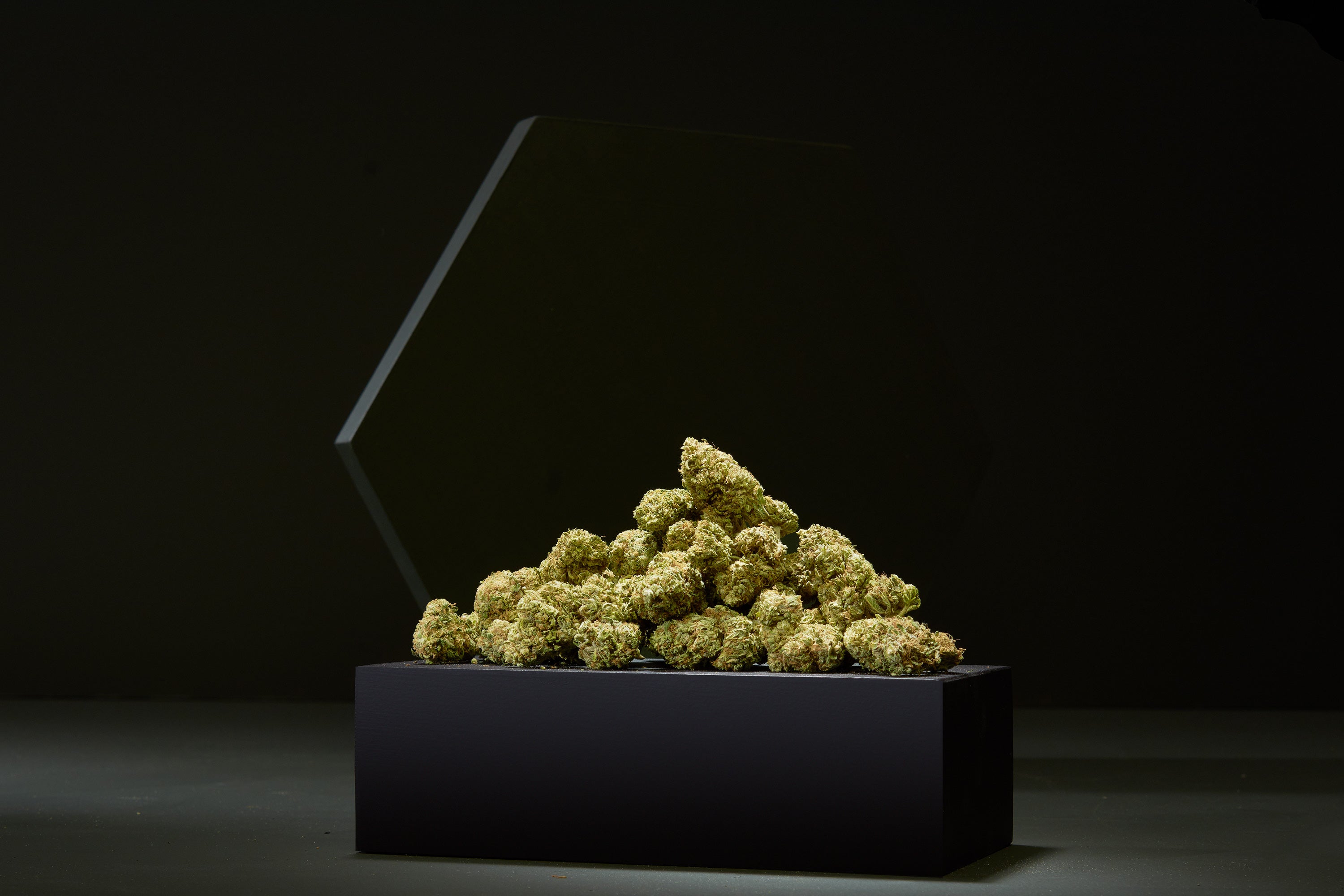 Can Delta 8 Get You High?