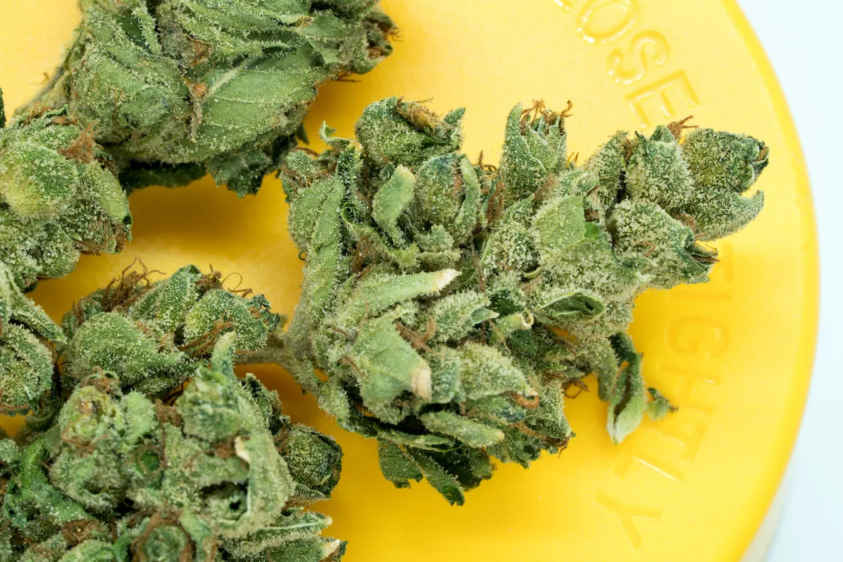 Does THCA Get You High? Understanding the Effects of THCA