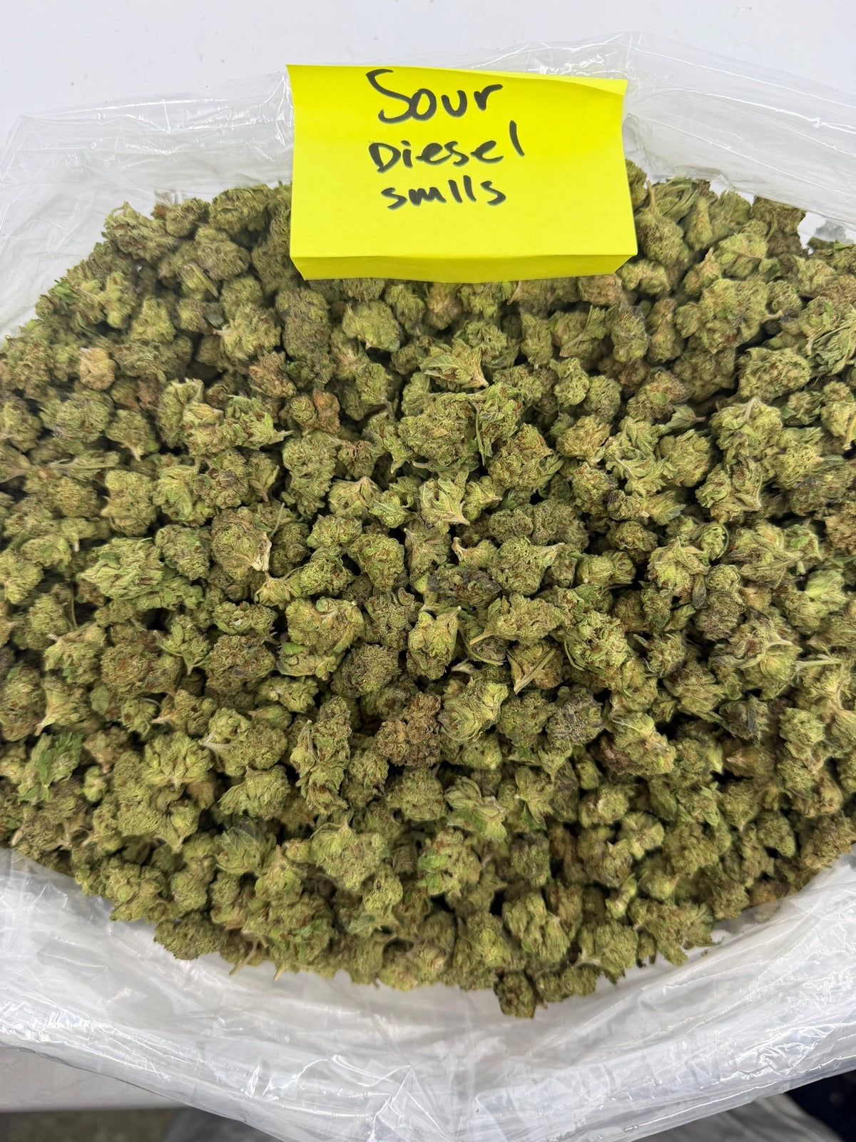 Sour Diesel - Sativa - Premium Indoor THCA Flower Smalls! HoN