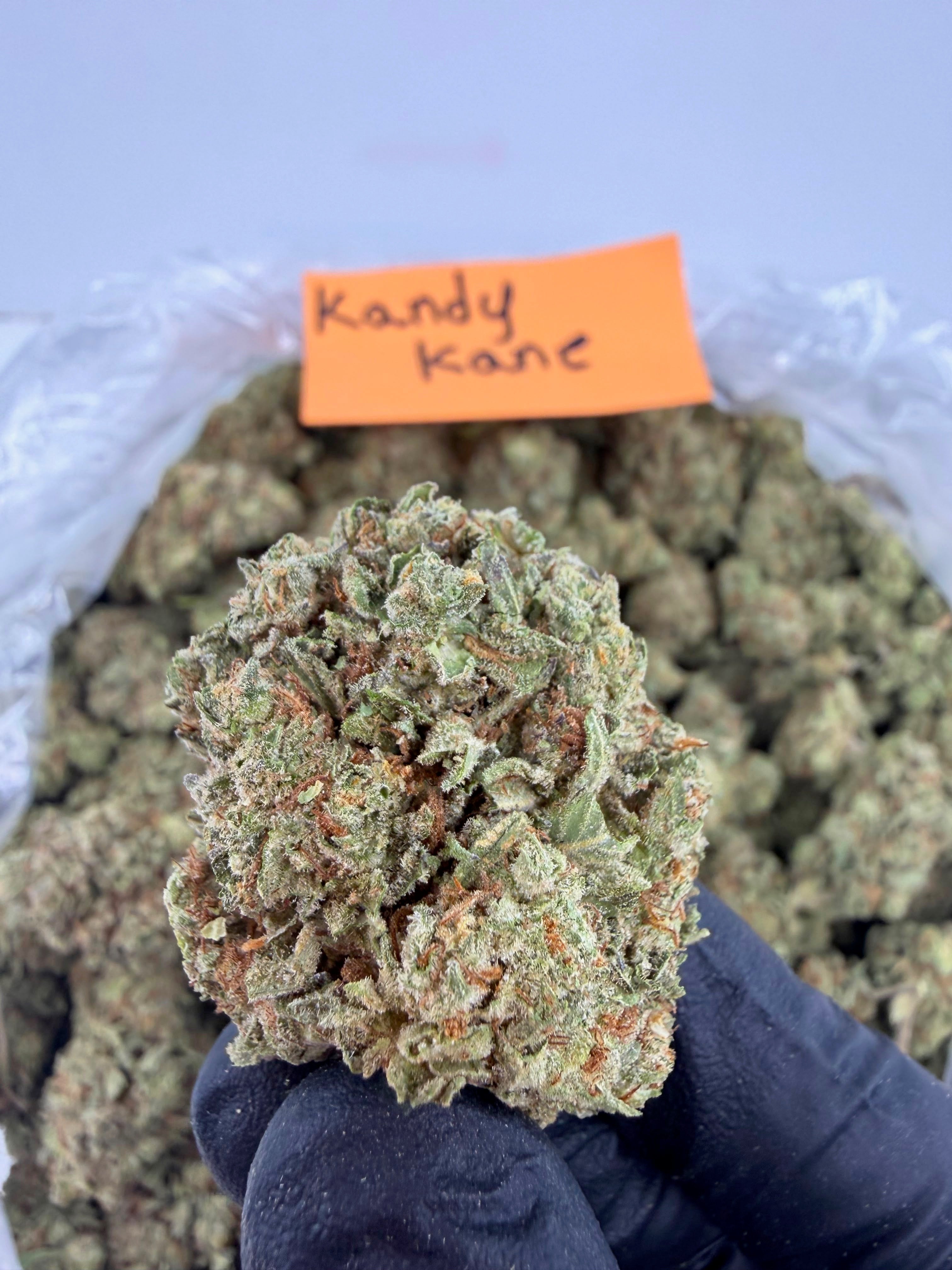 Kandy Kane - Indica-Dom Hybrid - Value Indoor THCA Flower Full Size Buds HoN
