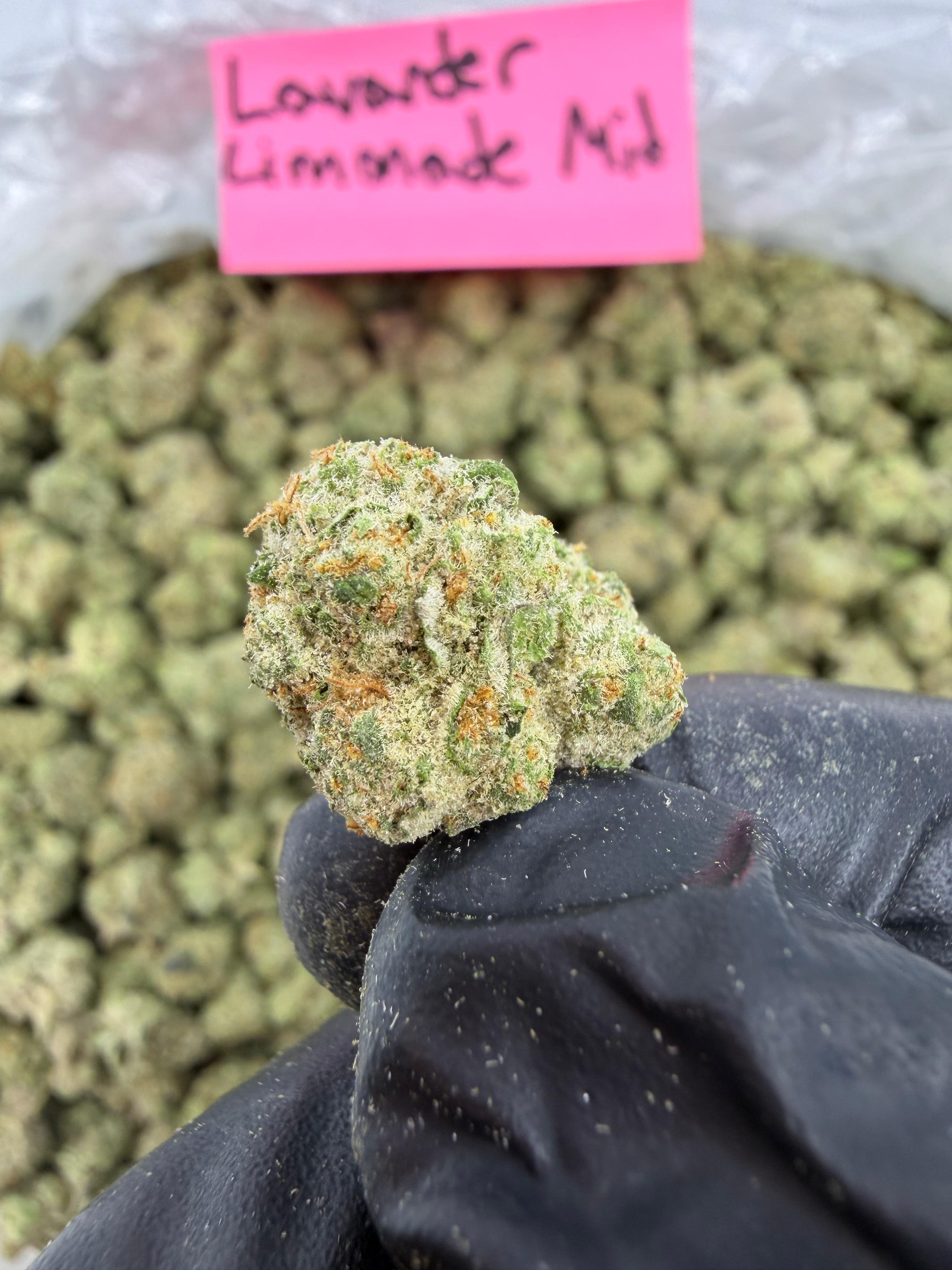 Lavender Limonade - Indica-Dom Hybrid - Value Indoor THCA Flower Mid Size Buds HoN