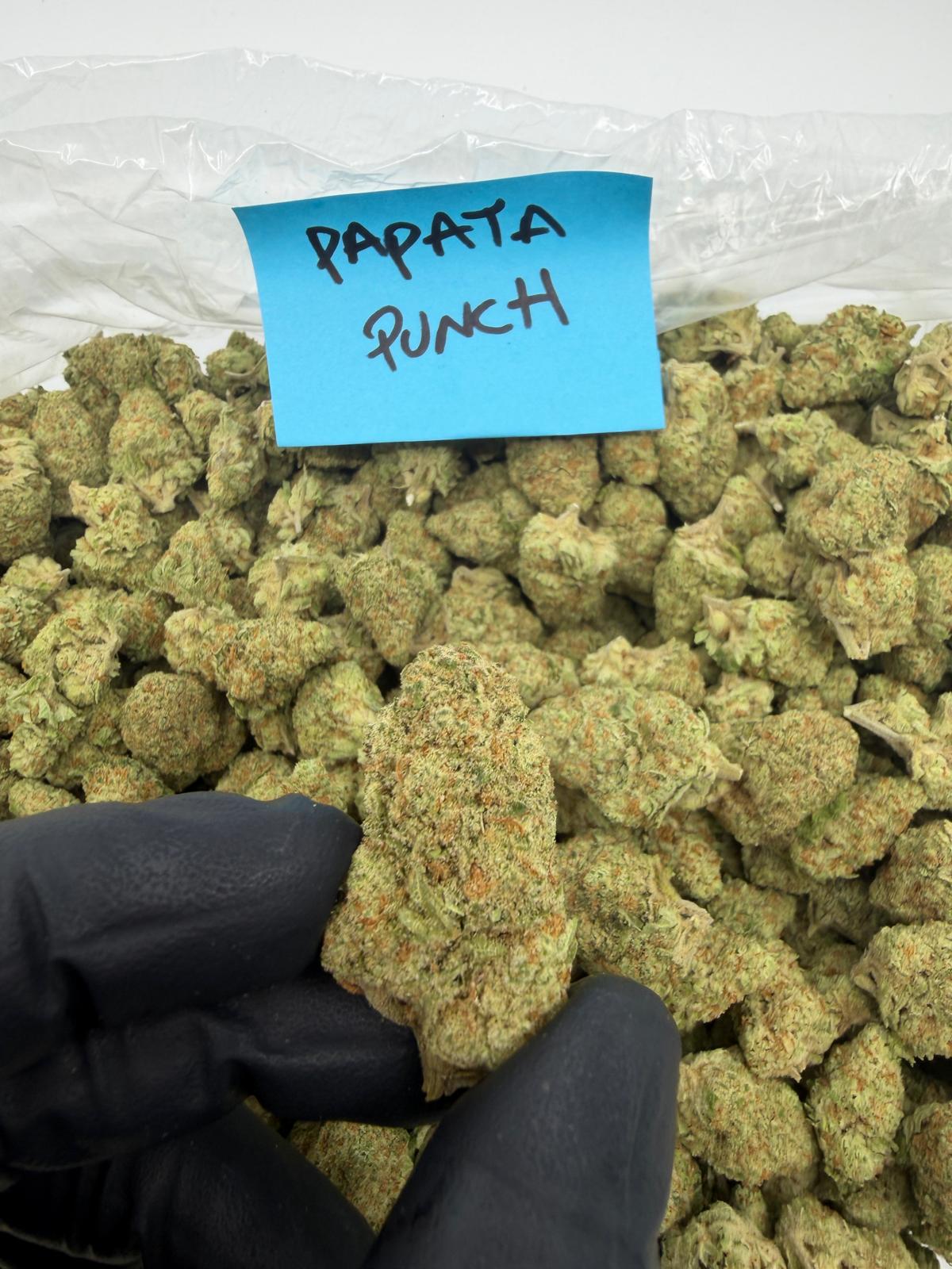 HoN 3.5 grams Papaya Punch - Indica-Dom Hybrid - Light Assist THCA Flower Full Size Buds Hi on Nature Delta 8 gummies Legal Hemp For Sale