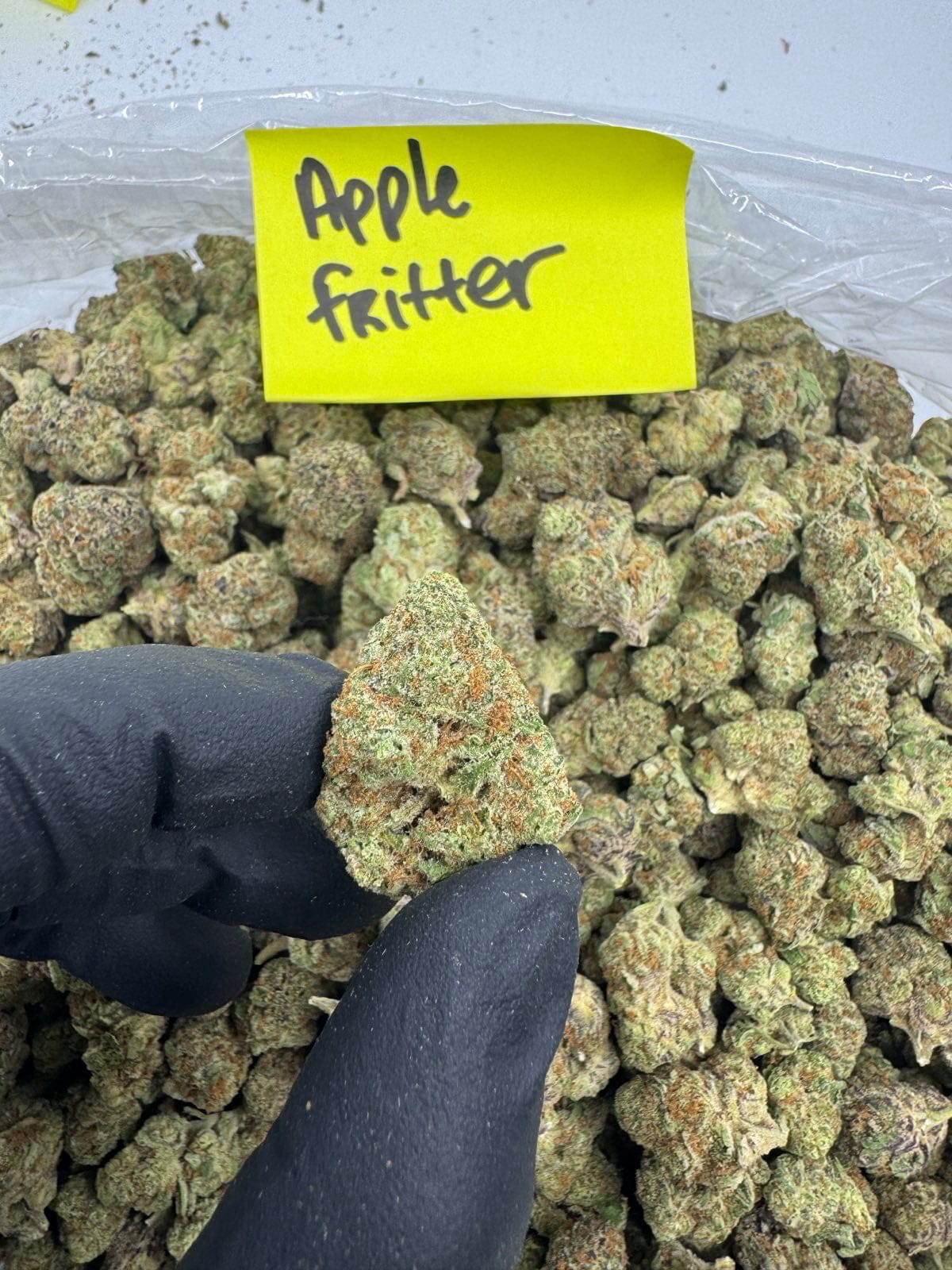 HoN Apple Fritter - Balanced Hybrid / 3.5 grams Light Assist THCA Flower Full Size Buds Hi on Nature Delta 8 gummies Legal Hemp For Sale