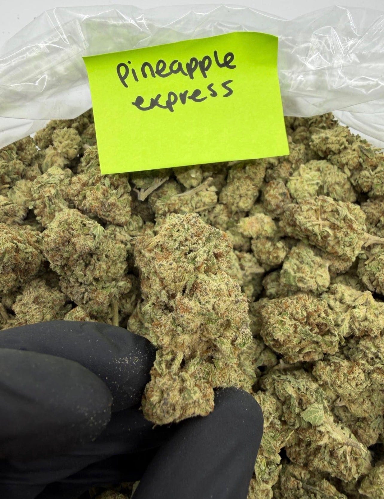 HoN Pineapple Express - Hybrid / 3.5 grams Pineapple Express - Sativa-Dom Hybrid - Light Assist THCA Flower Full Size Buds Hi on Nature Delta 8 gummies Legal Hemp For Sale