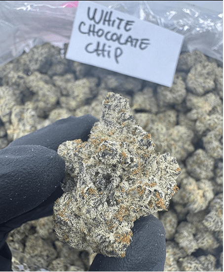 HoN Premium Indoor THCA Flower Full Size Buds Hi on Nature Delta 8 gummies Legal Hemp For Sale