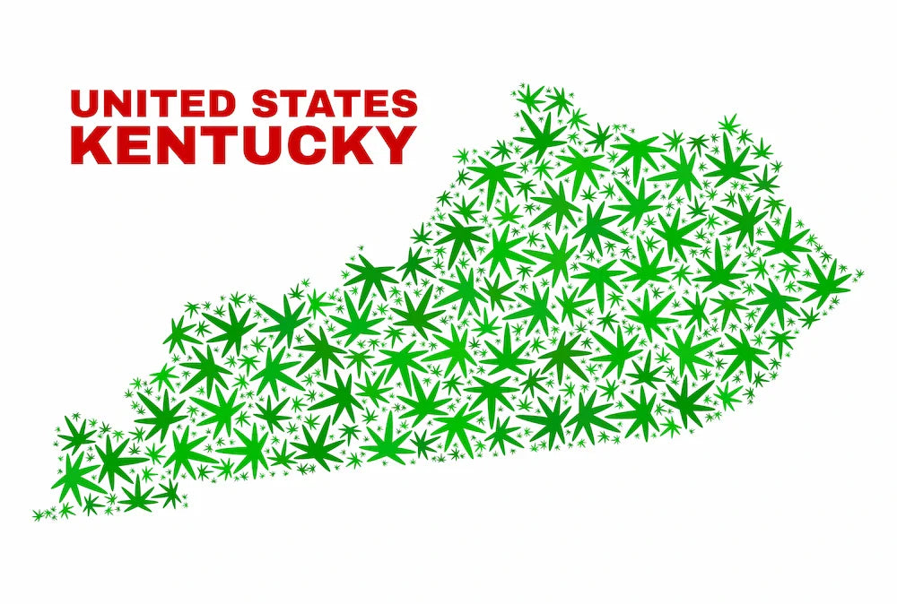 Is Delta 8 Legal in Kentucky? Bluegrass State's Hemp Laws