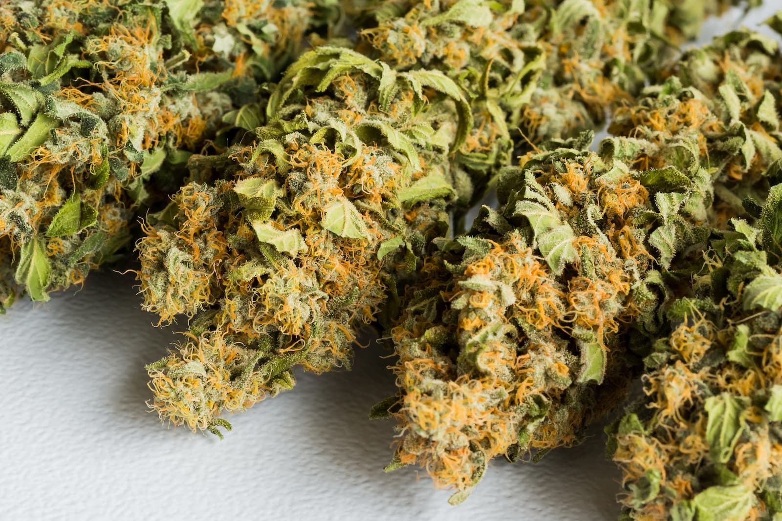 THCa vs. THC: Unlocking the Power of Hemp's Raw Ingredient