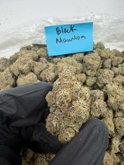 Black Mamba - Indica-Dom Hybrid - Exotic Indoor THCA Flower Full Size Buds