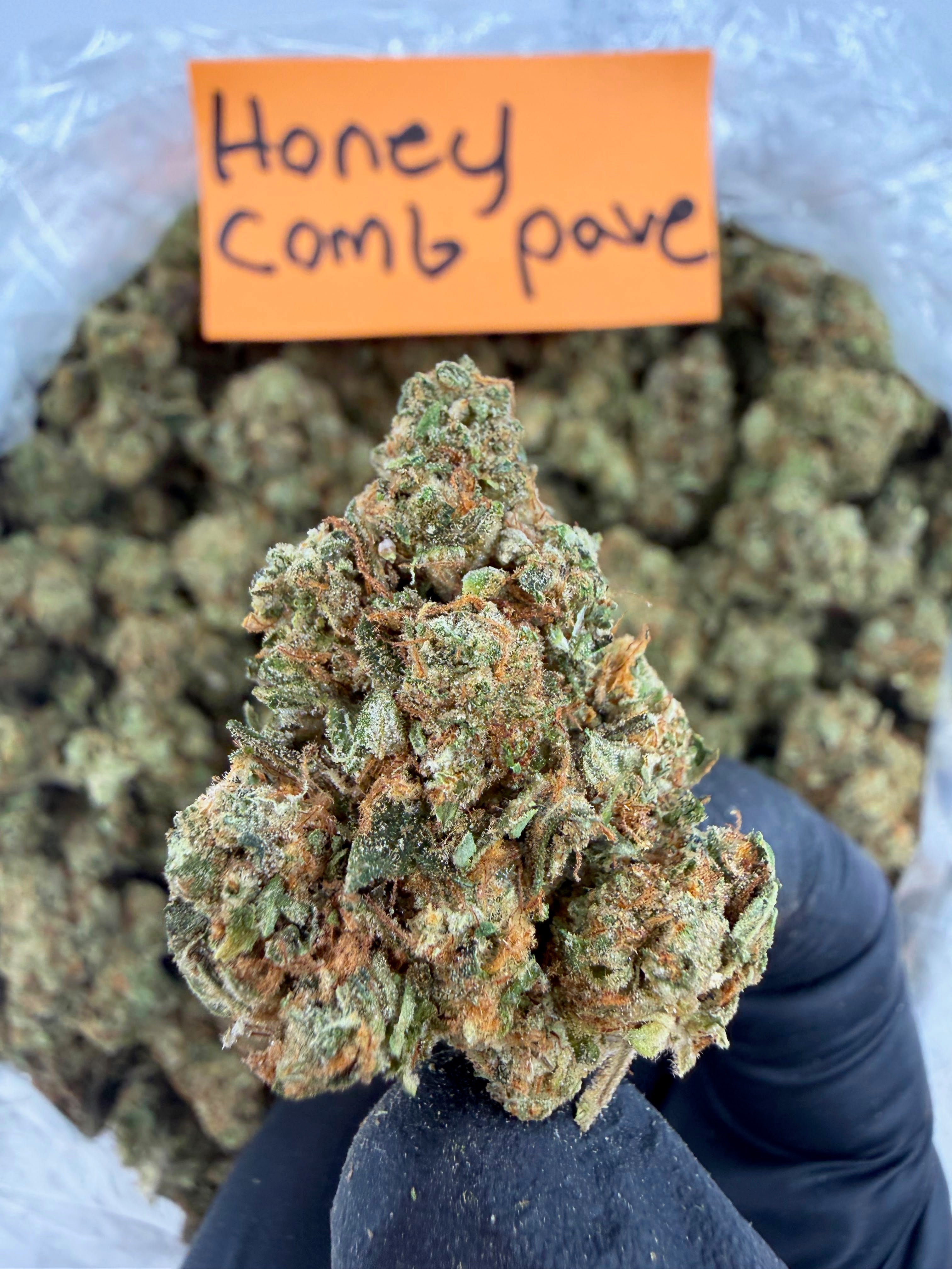 Honey Comb Pave - Indica-Dom Hybrid - Value Indoor THCA Flower Full Size Buds HoN