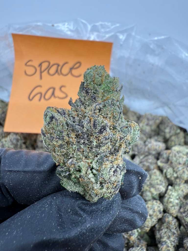 Space Gas - Indica-Dom Hybrid - Top Shelf Indoor THCA Flower Full Size Buds HoN