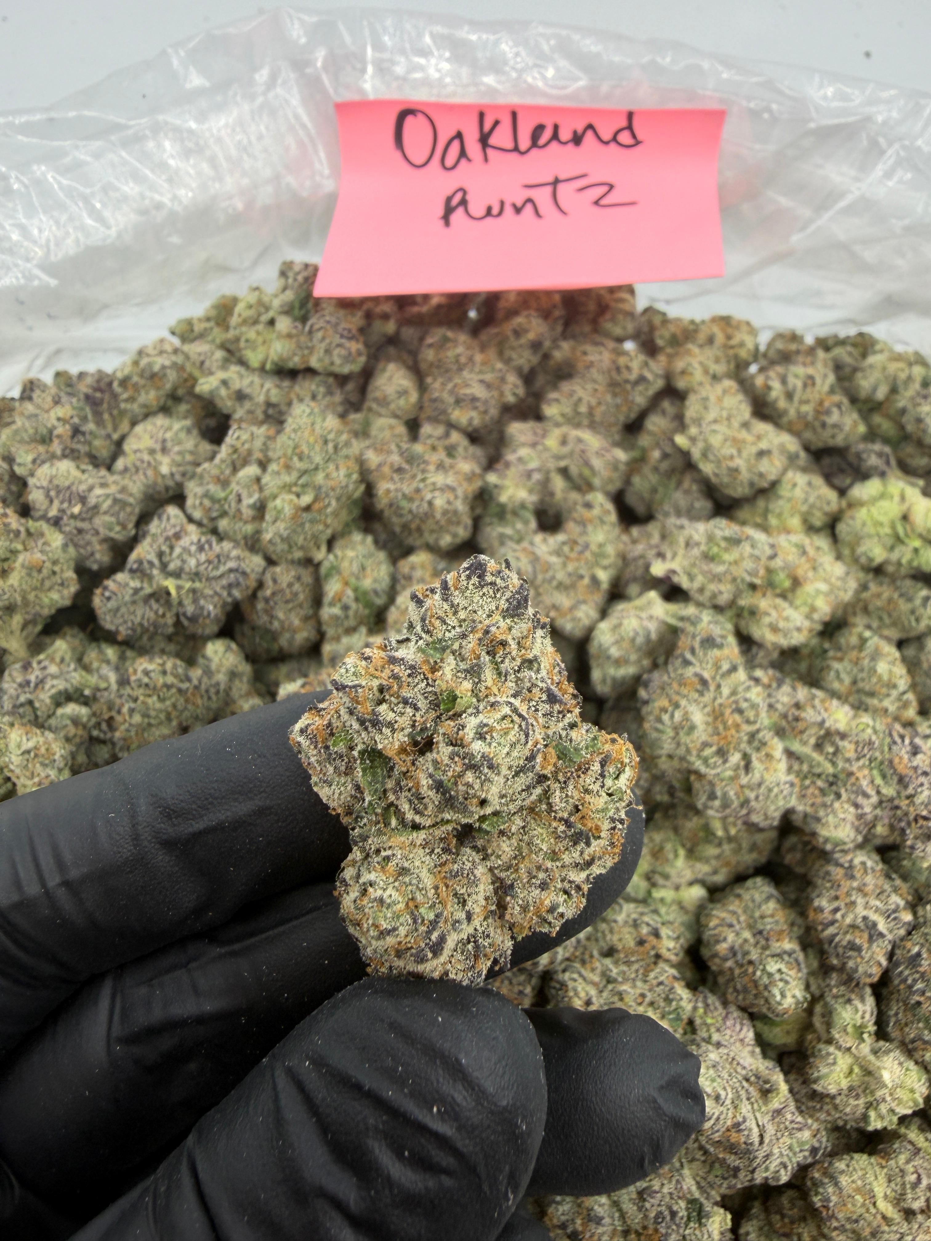 Oakland Runtz - Indica-Dom Hybrid - Top Shelf Indoor THCA Flower Full Size Buds HoN