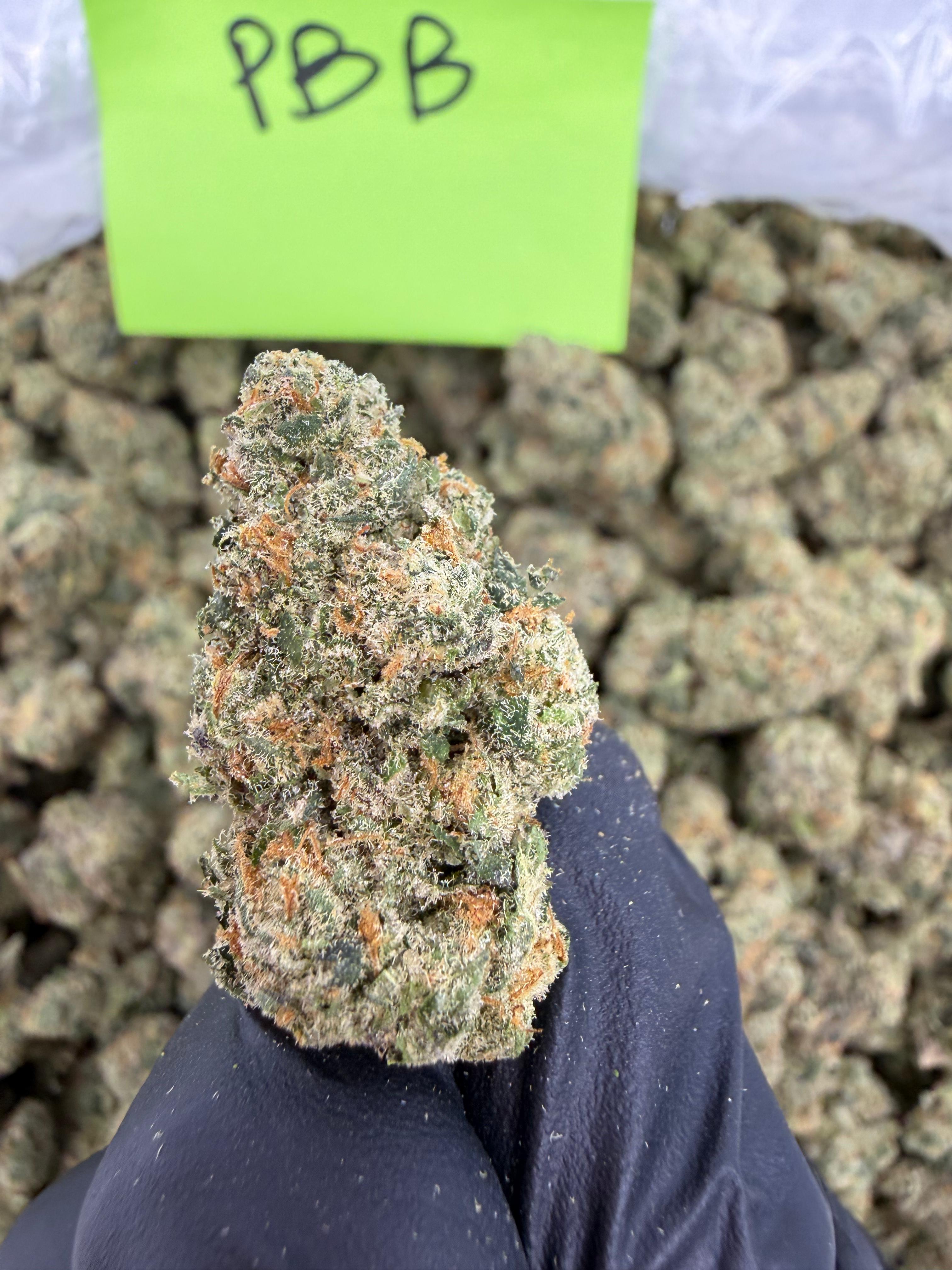 Space Gas - Indica-Dom Hybrid - Top Shelf Indoor THCA Flower Full Size Buds HoN