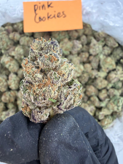 Pink Cookies - Indica-Dom Hybrid - Value Indoor THCA Flower Full Size Buds