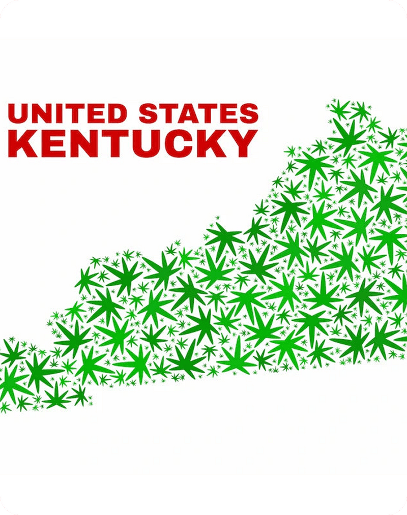 Is Delta 8 Legal in Kentucky?