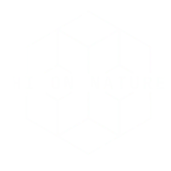 300mg THC-P VAPE - ONE HIT WONDER - 3 FLAVORS