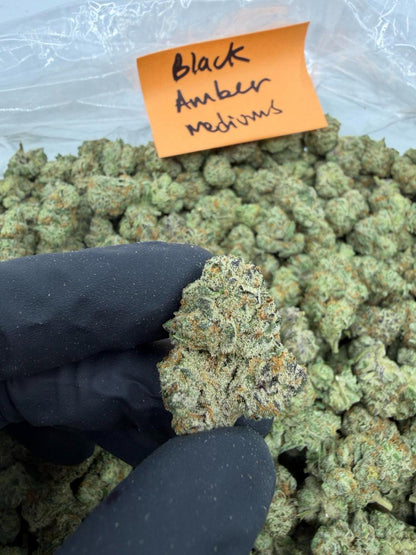 HoN 28 grams Black Amber - Indica-Dom Hybrid - Value Indoor THCA Flower Full Size Buds Hi on Nature Delta 8 gummies Legal Hemp For Sale