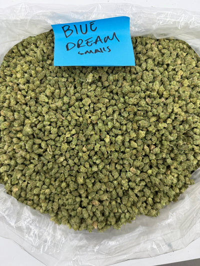Blue Dream - Sativa-Dom Hybrid - Value Indoor THCA Flower Smalls!