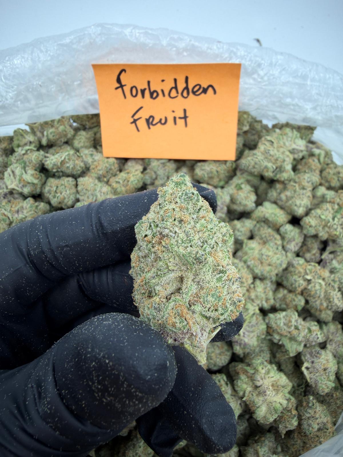 HoN 3.5 grams Forbidden Fruit - Indica-Dom Hybrid - Value Indoor THCA Flower Full Size Buds Hi on Nature Delta 8 gummies Legal Hemp For Sale