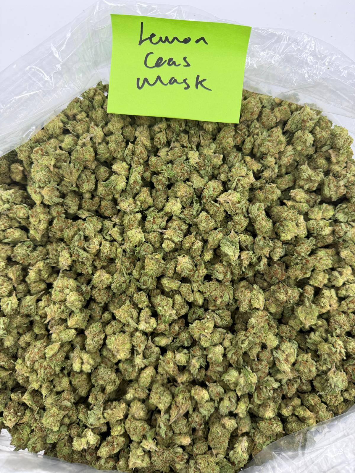 HoN 3.5 grams Lemon Gas Mask - Balanced Hybrid - Value Indoor THCA Flower Smalls! Hi on Nature Delta 8 gummies Legal Hemp For Sale