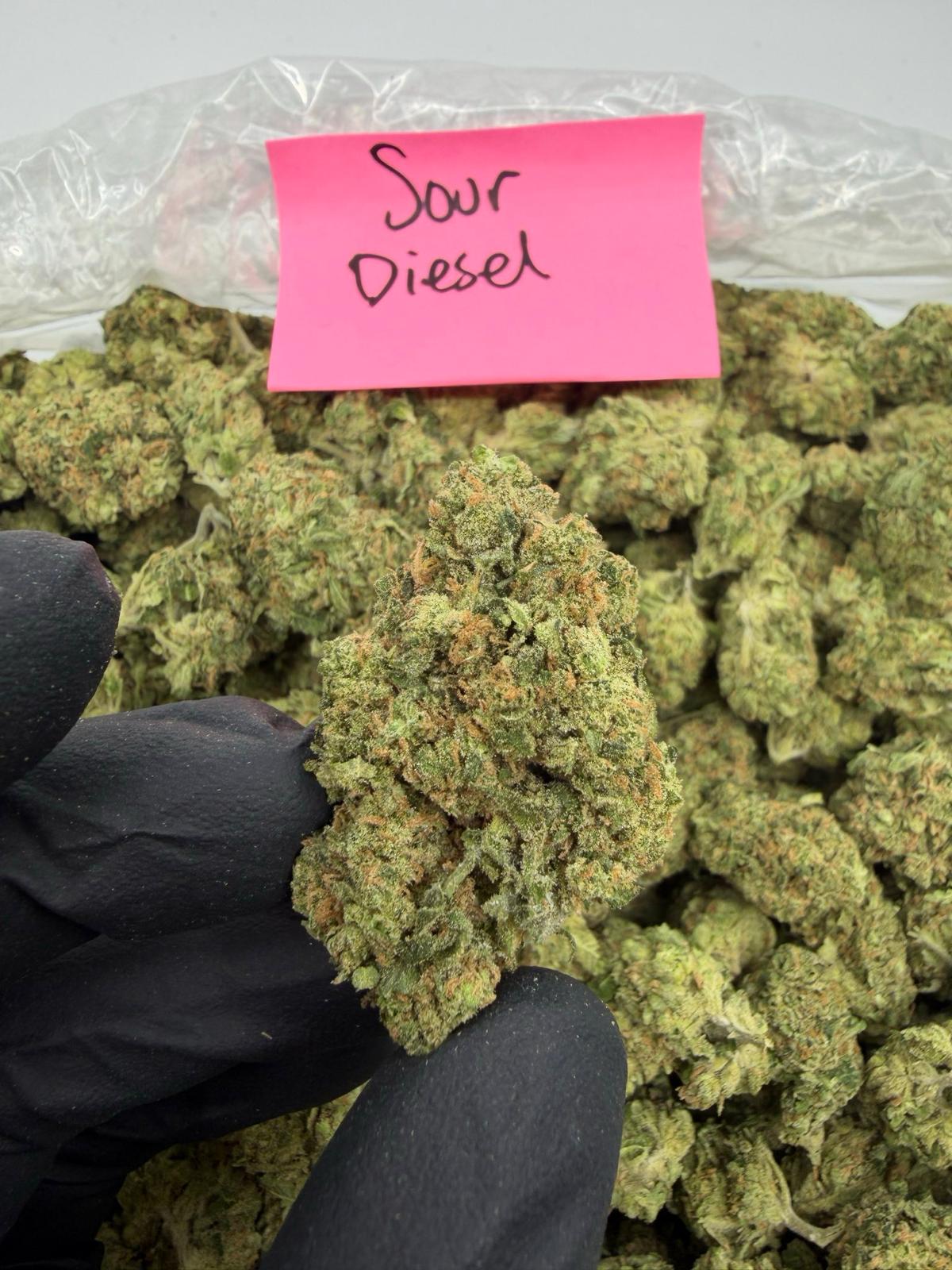 HoN 3.5 grams Sour Diesel - Sativa - Value Indoor THCA Flower Full Size Buds Hi on Nature Delta 8 gummies Legal Hemp For Sale