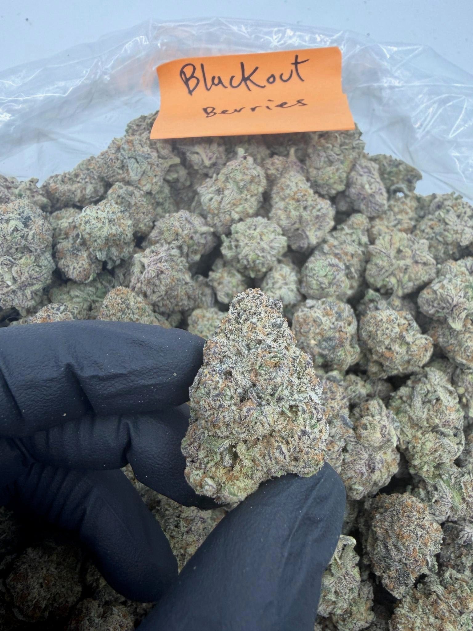 HoN Blackout Berries - Ind-Dom Hybrid / 3.5 grams Blackout Berries - Indica-Dom Hybrid - Top Shelf Indoor THCA Flower Full Size Buds Hi on Nature Delta 8 gummies Legal Hemp For Sale