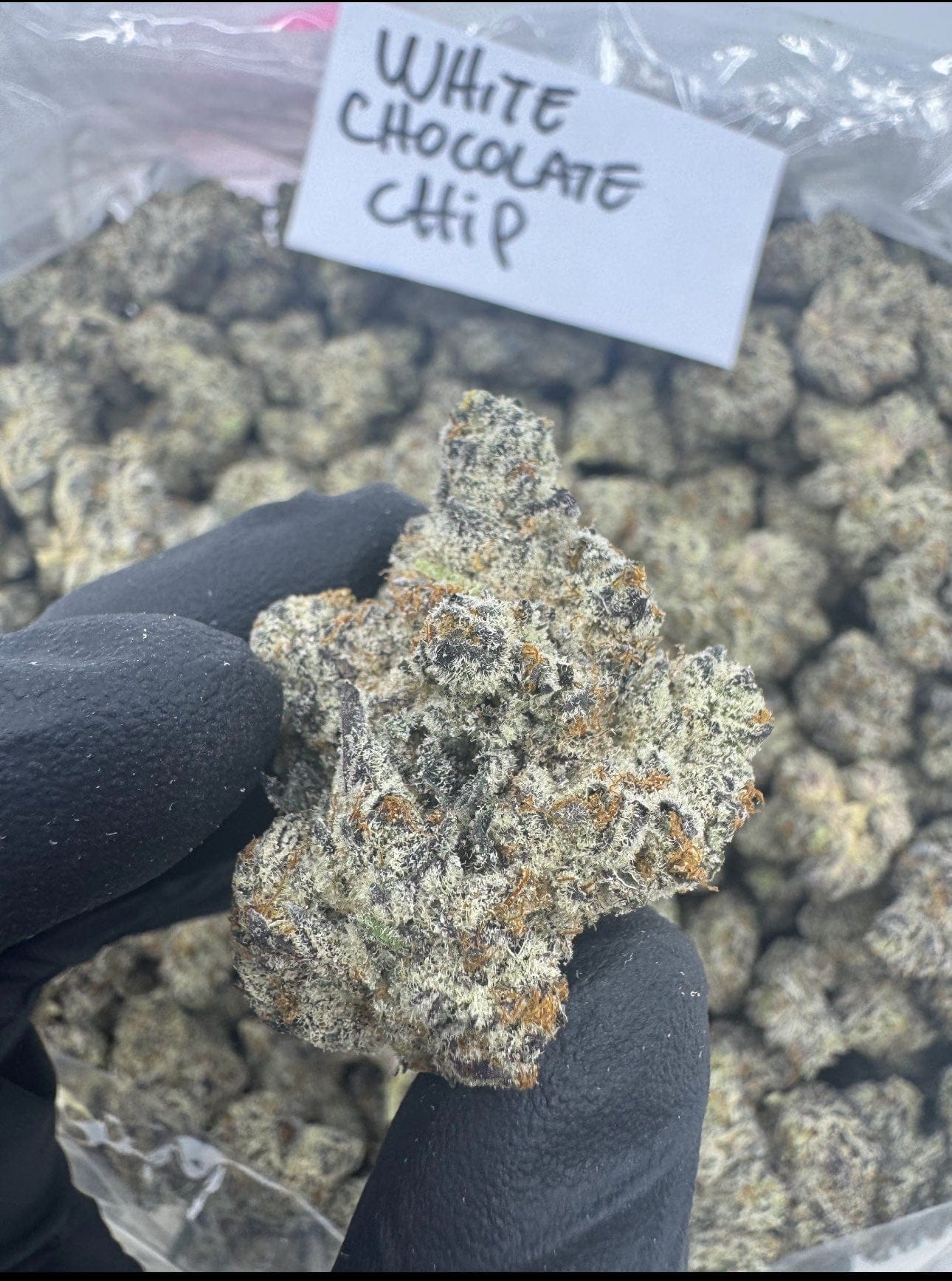 HoN Blackout Berries - Ind-Dom Hybrid / 3.5 grams White Chocolate Chip - Indica-Dom Hybrid - Top Shelf Indoor THCA Flower Full Size Buds Hi on Nature Delta 8 gummies Legal Hemp For Sale