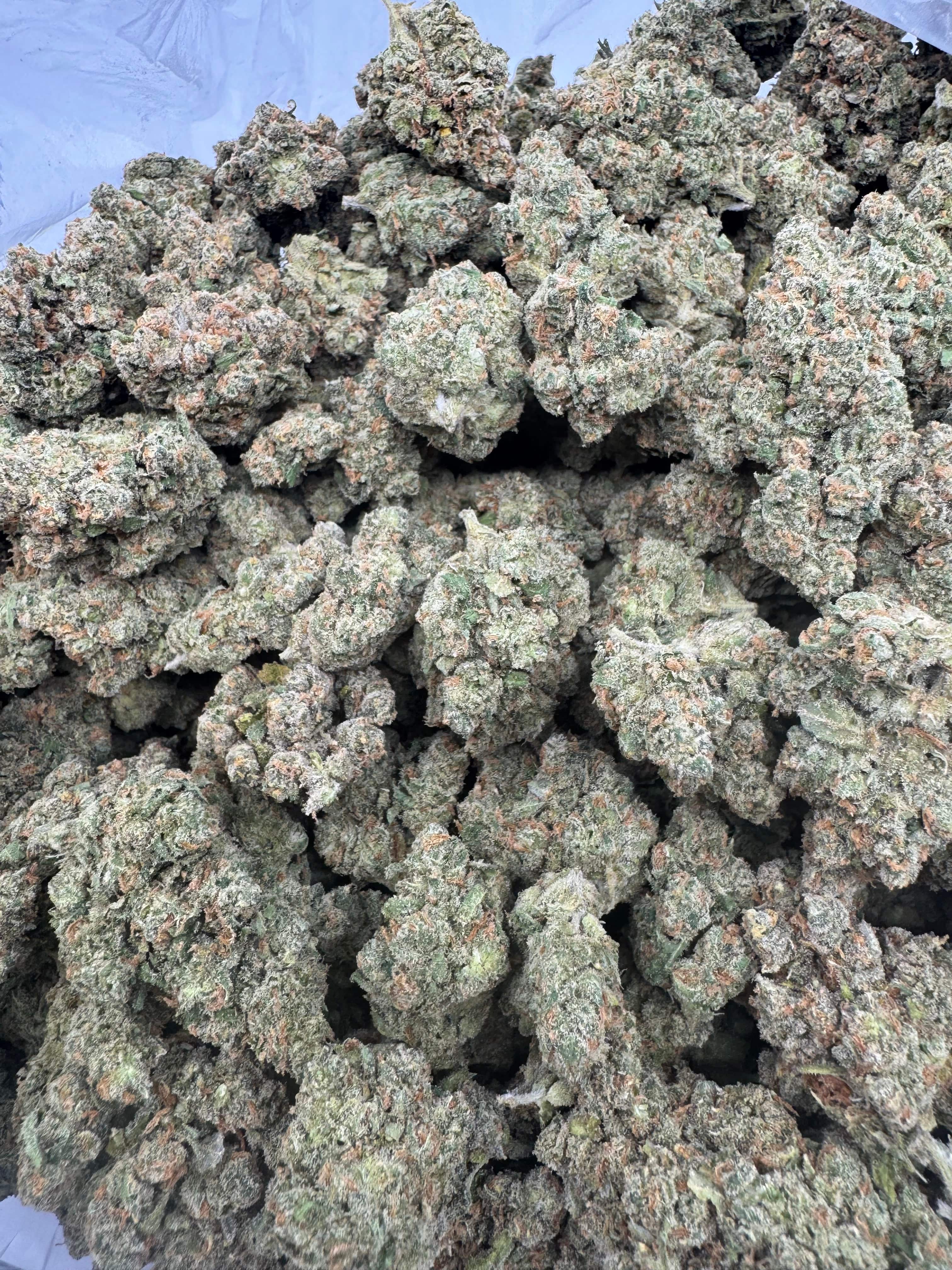 HoN Blue Dream / 3.5 grams Value Indoor THCA Flower Full Size Buds - COMING FRIDAY 9/12 Hi on Nature Delta 8 gummies Legal Hemp For Sale