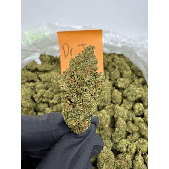 HoN Dr. J / 3.5 grams Light Assist THCA Flower Full Size Buds Hi on Nature Delta 8 gummies Legal Hemp For Sale