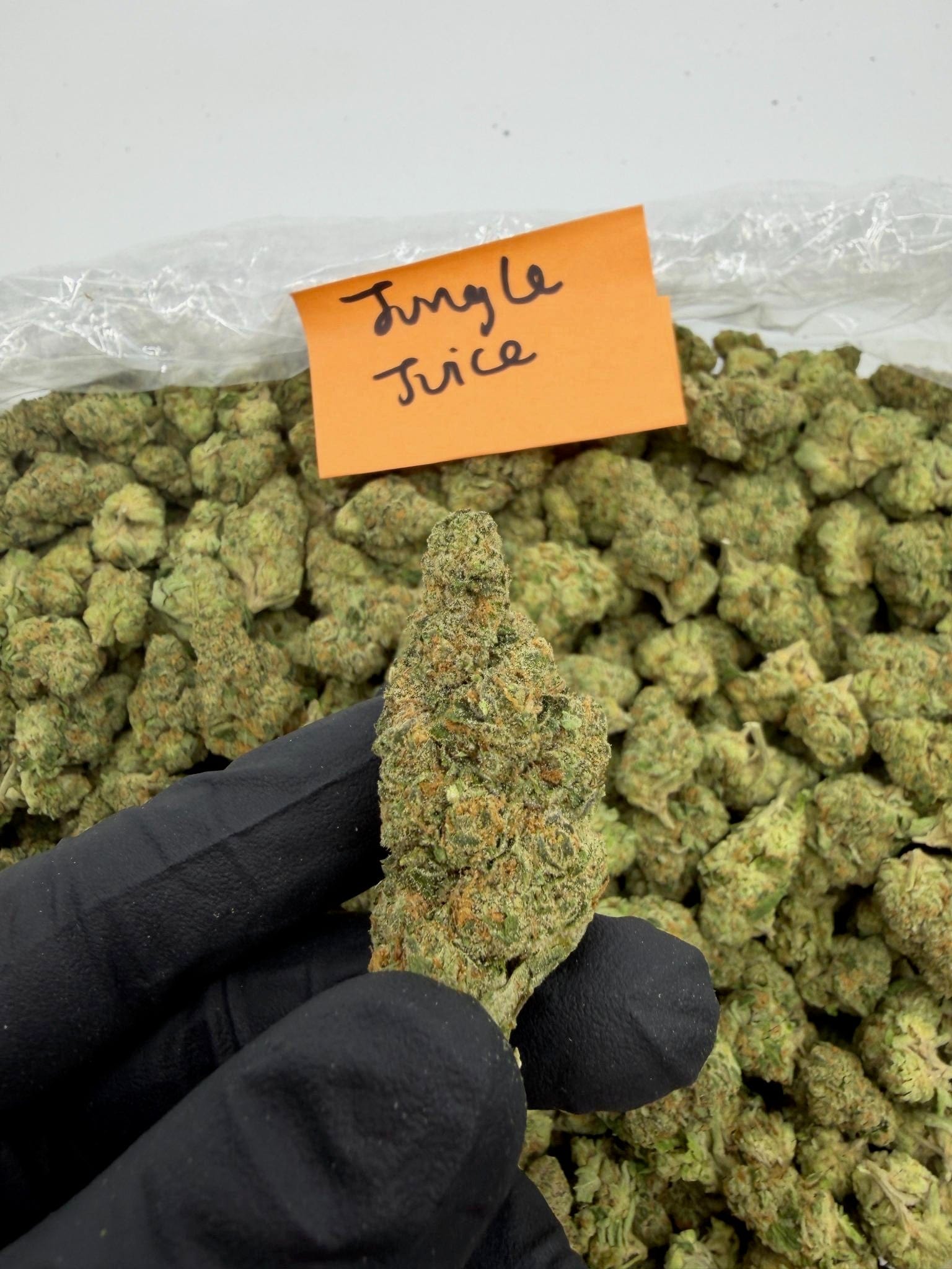 HoN Jungle Juice - Sativa-Dom Hybrid / 3.5 grams Jungle Juice - Sativa-Dom Hybrid - Light Assist THCA Flower Full Size Buds Hi on Nature Delta 8 gummies Legal Hemp For Sale