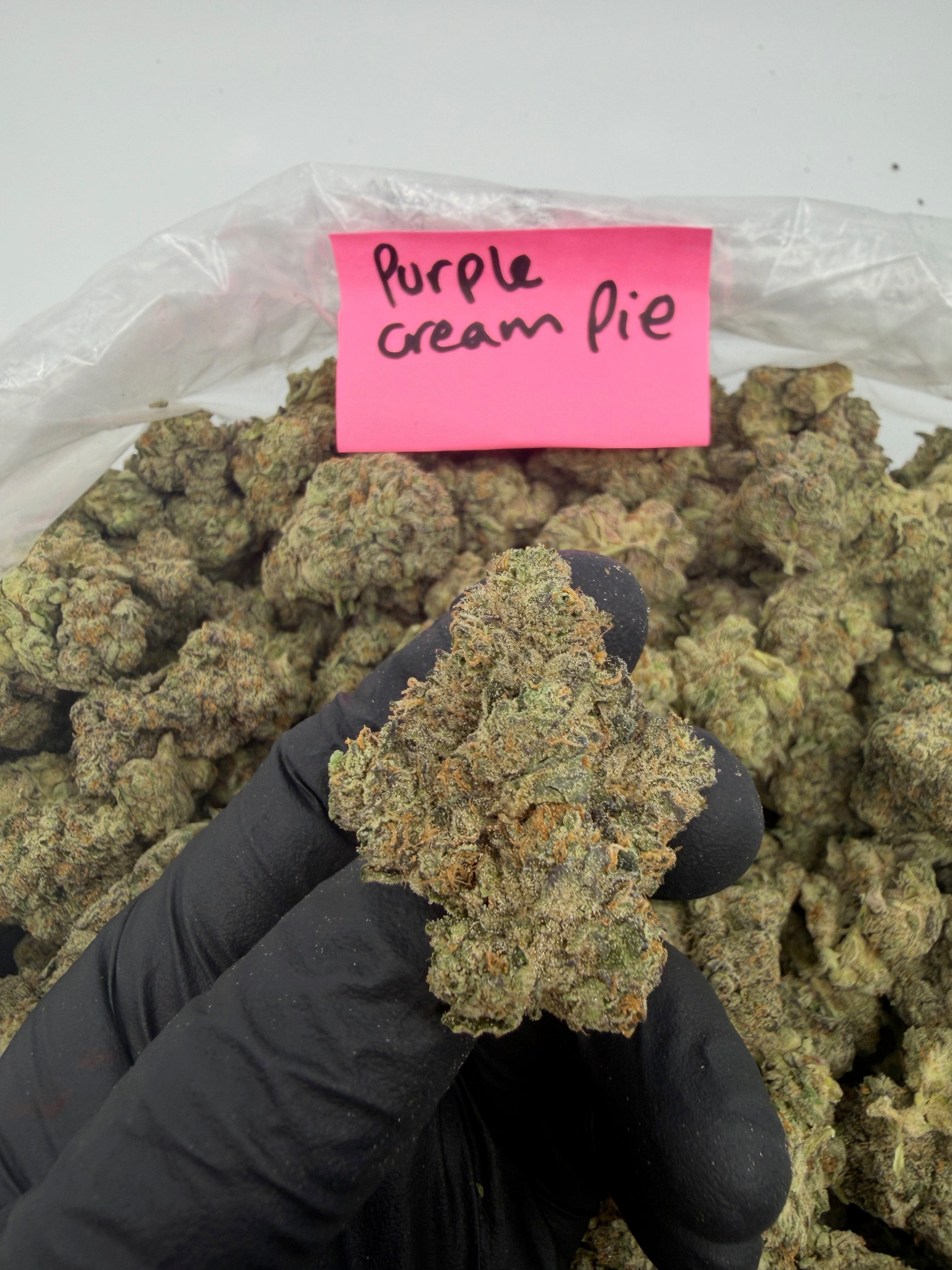 HoN Purple Cream Pie - Hybrid / 3.5 grams Purple Cream Pie - Balanced Hybrid - Value Indoor THCA Flower Full Size Buds Hi on Nature Delta 8 gummies Legal Hemp For Sale