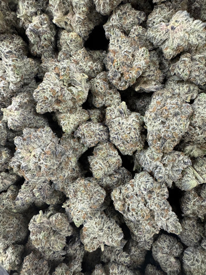 HoN Purple Punch / 3.5 grams Value Indoor THCA Flower Full Size Buds - COMING FRIDAY 9/12 Hi on Nature Delta 8 gummies Legal Hemp For Sale