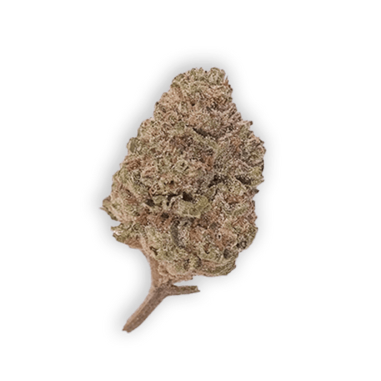HoN THC-A FLOWER - MR. NASTY Hi on Nature Delta 8 gummies Legal Hemp For Sale