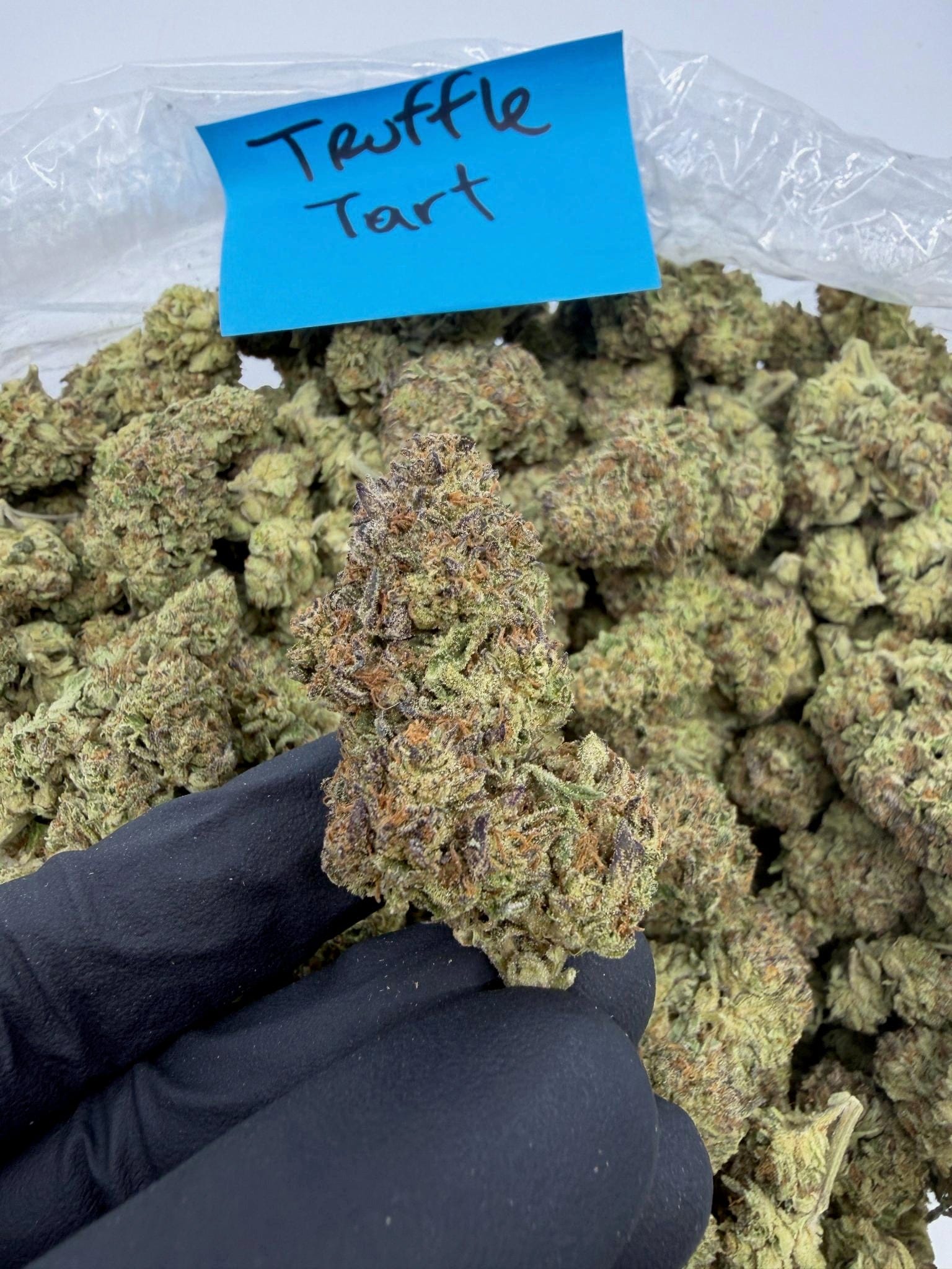 HoN Truffle Tart - Sativa-Dom Hybrid / 3.5 grams Truffle Tart - Sativa-Dom Hybrid - Light Assist THCA Flower Full Size Buds Hi on Nature Delta 8 gummies Legal Hemp For Sale