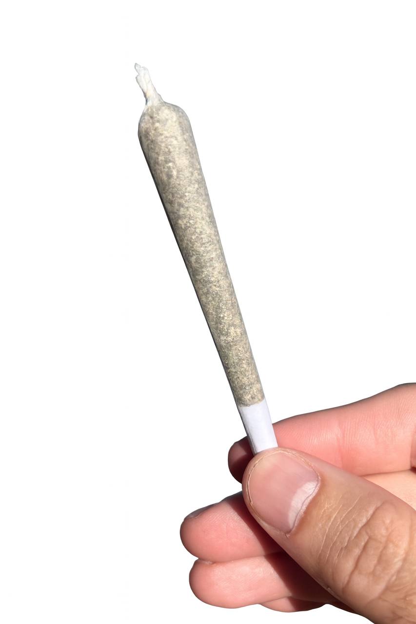 HoN White Chocolate Chip - Hybrid - Premium Indoor / 3 Pre-Rolls THCa Flower Pre-Rolls Hi on Nature Delta 8 gummies Legal Hemp For Sale