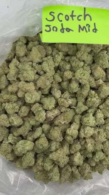 Scotch & Soda - Indica-Dom Hybrid - Value Indoor THCA Flower Mids