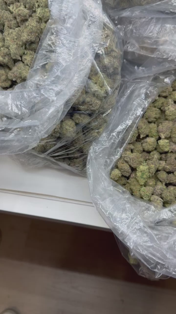 Value Indoor THCA Flower Full Size Buds - NEW LAUNCH!